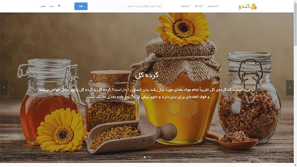 طراحی سایت کندو شاپ